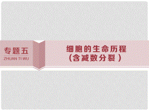 高考生物考前沖刺復習 第1部分 專題突破方略 專題五 細胞的生命歷程（含減數(shù)分裂）課件