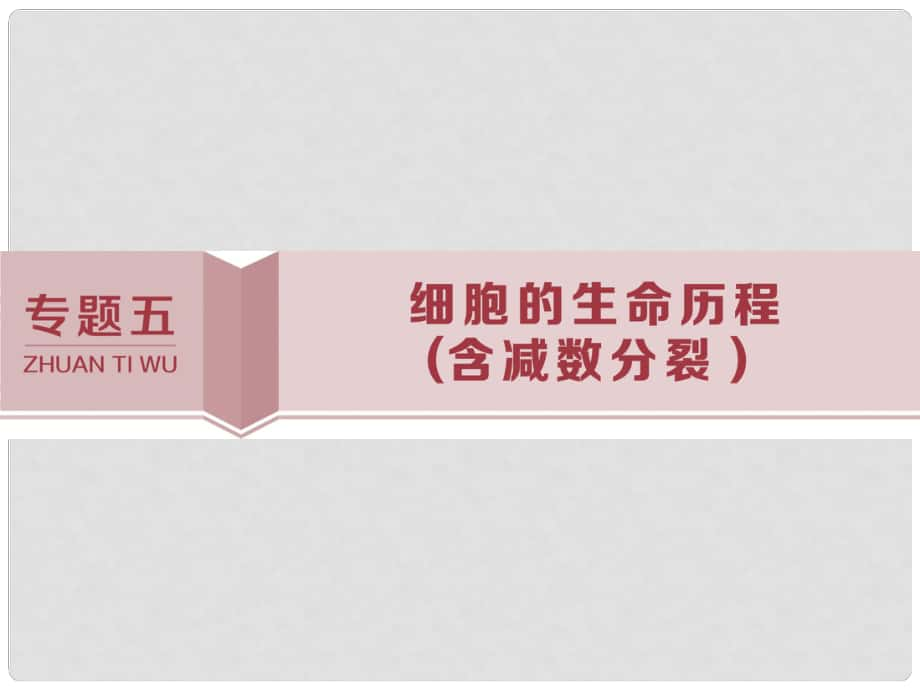 高考生物考前沖刺復習 第1部分 專題突破方略 專題五 細胞的生命歷程（含減數分裂）課件_第1頁