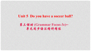 七年級英語上冊 Unit 5 Do you have a soccer ball（第3課時）（Grammar Focus3c）同步語法精講精練課件 （新版）人教新目標版