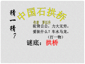 安徽省淮北市八年級語文上冊 11 中國石拱橋課件3 新人教版