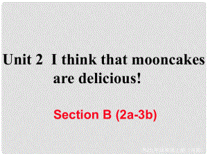 九年級英語全冊 Unit 2 I think that mooncakes are delicious Section B（2a3b）習題課件 （新版）人教新目標版