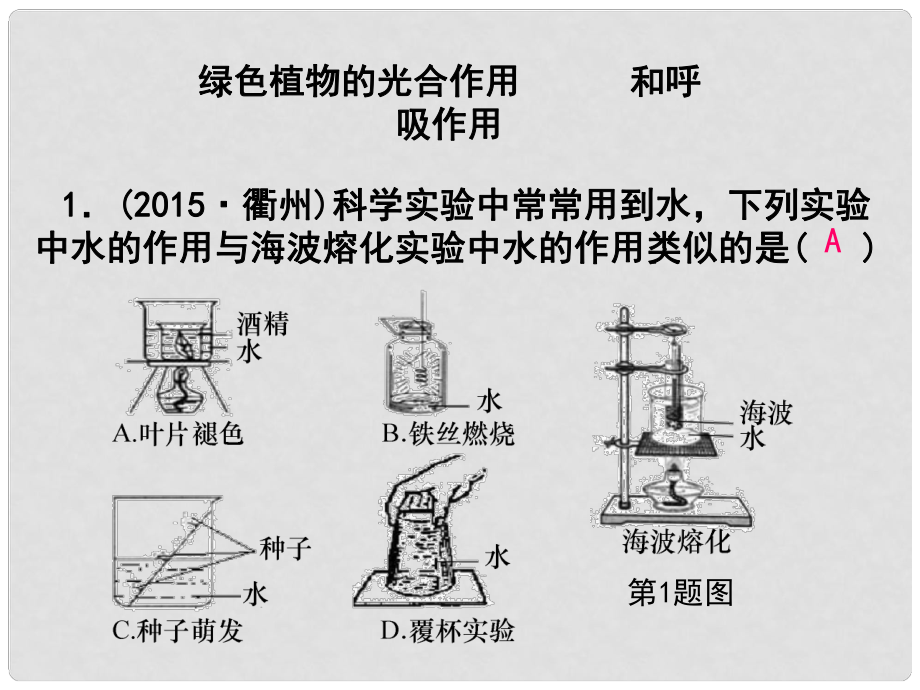 浙江省中考科學(xué)第一輪專(zhuān)題練習(xí)《綠色植物的光合作用和呼吸作用》課件_第1頁(yè)