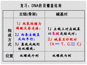 高中生物 第三章 基因的本质 3.3 DNA的复制理科课件 新人教版必修2