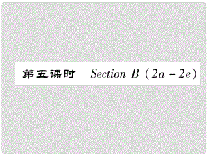 八年級英語上冊 Unit 6 I’m going to study computer science（第5課時）Section B（2a2e）作業(yè)課件 （新版）人教新目標版