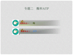 新高考高考生物二輪復(fù)習(xí) 專題2 酶和ATP課件