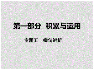 湖南省中考語(yǔ)文 第一部分 積累與運(yùn)用 專(zhuān)題五 病句辨析課件 語(yǔ)文版