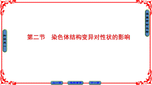 高中生物 第1單元 遺傳與變異的細胞學(xué)基礎(chǔ) 第2章 染色體變異對性狀的影響 第2節(jié) 染色體結(jié)構(gòu)變異對性狀的影響課件 中圖版必修2