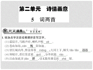 貴州省遵義市九年級(jí)語文下冊(cè) 第二單元 第5課 詞兩首習(xí)題課件 語文版