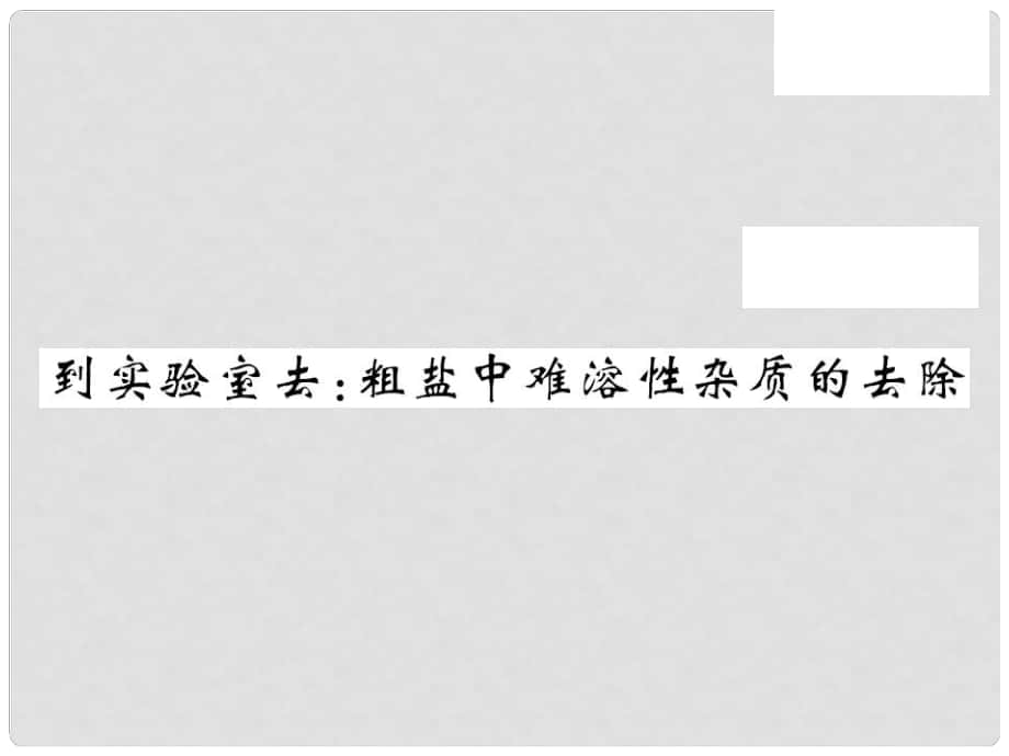 九年級化學(xué)下冊 第8單元 海水中的化學(xué) 到實驗室去 粗鹽中難溶性雜質(zhì)的去除課件 （新版）魯教版_第1頁