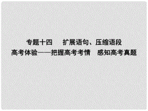 高考語(yǔ)文大一輪復(fù)習(xí) 專題十四 擴(kuò)展語(yǔ)句、壓縮語(yǔ)段 高考體驗(yàn)把握高考考情 感知高考真題課件