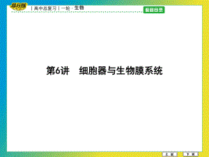 高中生物 第二單元 細胞的基本結(jié)構與物質(zhì)的輸入和輸出 第6講 細胞器與生物膜系統(tǒng)課件