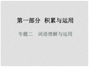 湖南省益陽市中考語文 第一部分 積累與運用 專題二 詞語理解與運用課件 北師大版