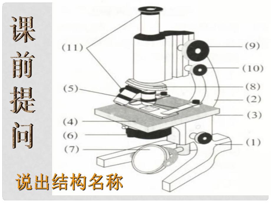 浙江省溫州市蒼南縣龍港鎮(zhèn)七年級科學上冊 2.2.2 細胞課件 （新版）浙教版_第1頁