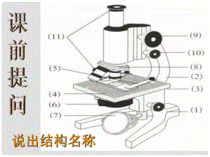 浙江省溫州市蒼南縣龍港鎮(zhèn)七年級科學(xué)上冊 2.2.2 細(xì)胞課件 （新版）浙教版