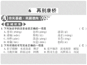 廣西桂林市九年級(jí)語(yǔ)文下冊(cè) 第二單元 6 再別康橋習(xí)題課件 語(yǔ)文版