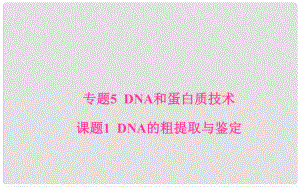 高中生物 专题5 DNA和蛋白质技术 课题1 DNA的粗提取与鉴定课件 新人教版选修1
