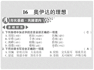 廣西桂林市九年級(jí)語(yǔ)文下冊(cè) 第四單元 16 奧伊達(dá)的理想習(xí)題課件 語(yǔ)文版