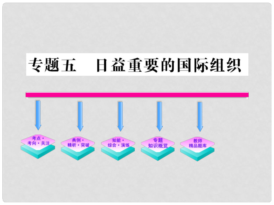 版高中政治 專題五 日益重要的國(guó)際組織課件 新人教版選修3_第1頁(yè)