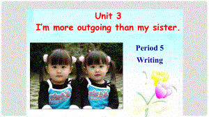 八年級(jí)英語上冊(cè) Unit 3 I’m more outgoing than my sister Period 5 Section B3課件 （新版）人教新目標(biāo)版