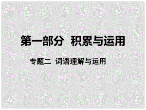 湖南省中考語文 第一部分 積累與運(yùn)用 專題二 詞語理解與運(yùn)用課件 語文版