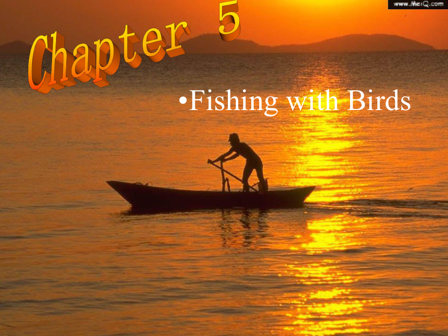 九年級(jí)英語(yǔ)上冊(cè) Chapter 5 Fishing with birds課件 上海牛津版_第1頁(yè)