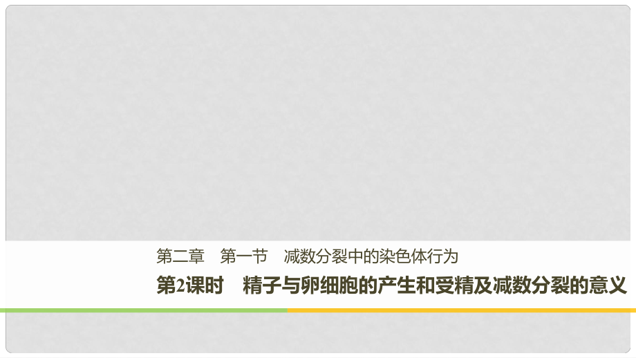 高中生物 第二章 染色體與遺傳 第一節(jié) 減數(shù)分裂中的染色體行為 第2課時(shí)課件 浙科版必修2_第1頁