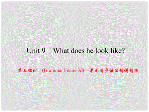 原（浙江專版）七年級英語下冊 Unit 9 What does he look like（第3課時）(Grammar Focus3d)同步語法精講精練課件 （新版）人教新目標(biāo)版