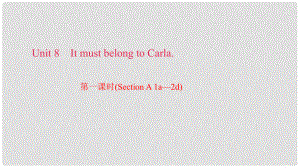 九年級(jí)英語全冊 Unit 8 It must belong to Carla（第1課時(shí)）Section A（1a2d）習(xí)題課件 （新版）人教新目標(biāo)版