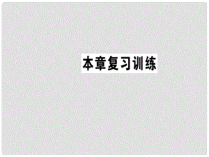 九年級(jí)物理全冊(cè) 第二十一章 信息的傳遞復(fù)習(xí)訓(xùn)練課件 （新版）新人教版