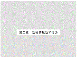 八年級生物上冊 期末復(fù)習(xí) 第五單元 第二章 動物的運(yùn)動和行為課件 （新版）新人教版