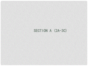 七年級(jí)英語(yǔ)上冊(cè) Unit 3 Is this your pencil Section A（2a3c）課件 （新版）人教新目標(biāo)版