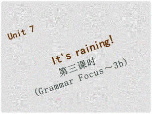 七年級英語下冊 Unit 7 It’s raining（第3課時）Grammar Focus3c習題課件 （新版）人教新目標版