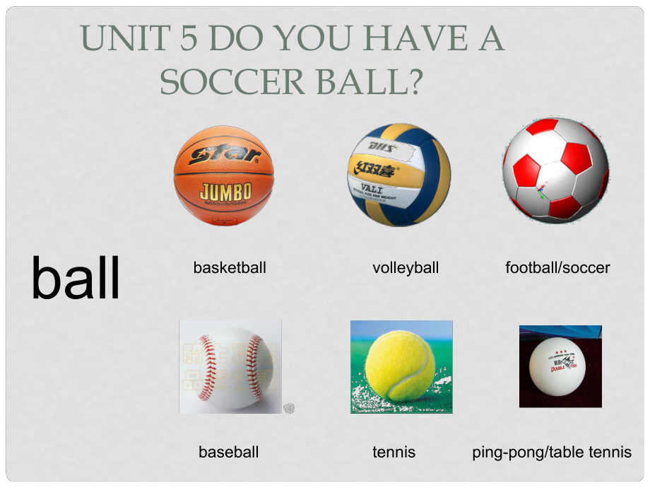 七年級(jí)英語(yǔ) Unit 5 Do you have a soccer ball課件 人教新目標(biāo)版_第1頁(yè)