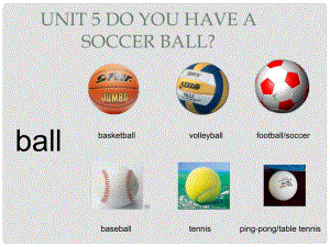 七年級(jí)英語(yǔ) Unit 5 Do you have a soccer ball課件 人教新目標(biāo)版