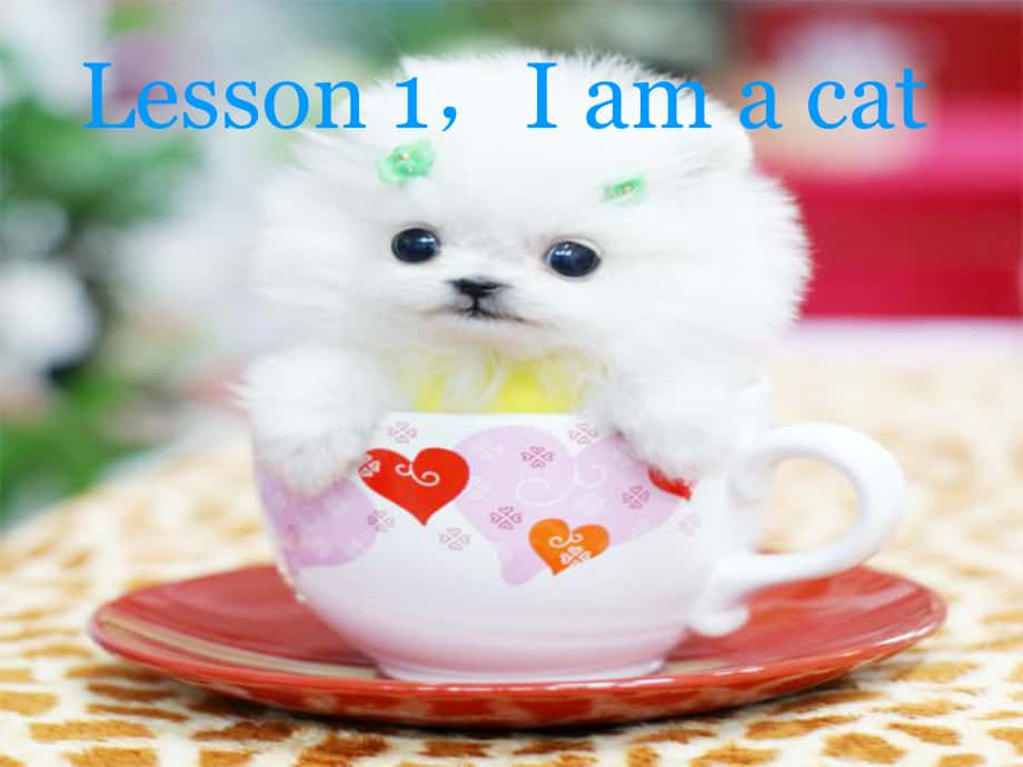 三年級(jí)英語(yǔ)上冊(cè) Lesson 3 Nice to meet you課件4 科普版_第1頁(yè)