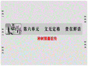 高中語文 第6單元 文無定格 貴在鮮活 24 種樹郭橐駝傳課件 新人教版選修《中國古代詩歌散文欣賞》