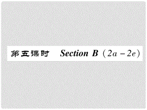 八年級英語上冊 Unit 3 I'm more outgoing than my sister（第5課時）Section B（2a2e）同步作業(yè)課件 （新版）人教新目標版