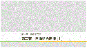 高中生物 第一章 孟德爾定律 第二節(jié) 自由組合定律（Ⅰ）課件 浙科版必修2