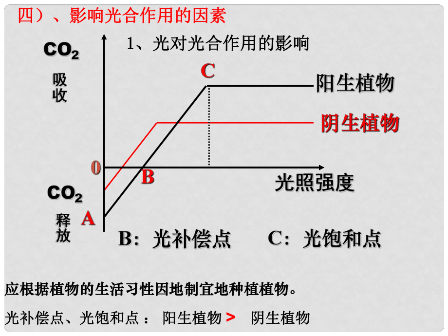 陜西省西安市高考生物 細(xì)胞代謝專題 第四部分 影響光合作用的因素復(fù)習(xí)課件_第1頁