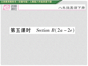 八年級(jí)英語(yǔ)下冊(cè) Unit 9 Have you ever been to a museum（第5課時(shí)）Section B（2a2e）習(xí)題課件 （新版）人教新目標(biāo)版