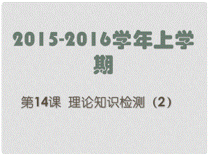 廣東省深圳市文匯中學(xué)八年級信息技術(shù)上冊 第14課 理論知識檢測（2）課件