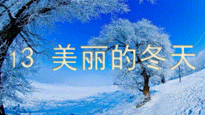 一年級道德與法治上冊 第13課 美麗的冬天課件1 新人教版