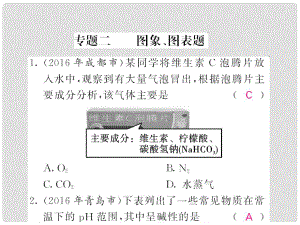 中考化學(xué)總復(fù)習(xí) 第二輪復(fù)習(xí) 專題訓(xùn)練 提升能力 專題二 圖象、圖表題習(xí)題課件 新人教版