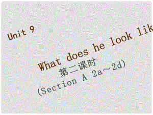 七年級(jí)英語(yǔ)下冊(cè) Unit 9 What does he look like（第2課時(shí)）Section A（2a2d）習(xí)題課件 （新版）人教新目標(biāo)版