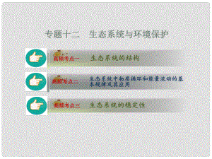 新高考高考生物二輪復(fù)習(xí) 專題12 生態(tài)系統(tǒng)與環(huán)境保護(hù) 課件