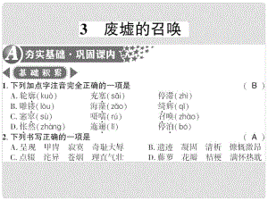 廣西桂林市九年級語文下冊 第一單元 3 廢墟的召喚習(xí)題課件 語文版