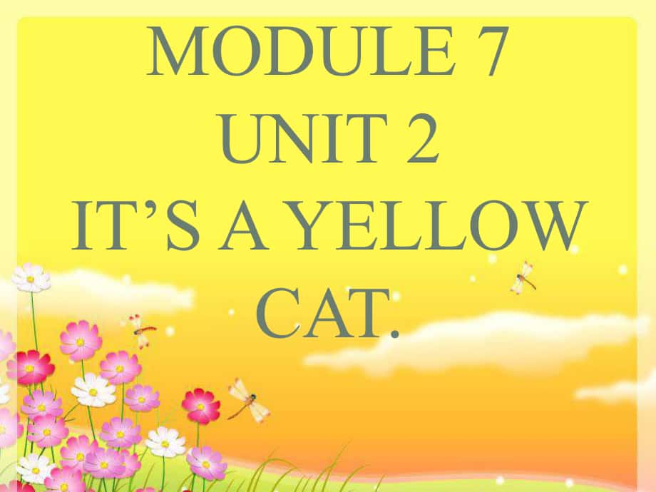 一年級(jí)英語(yǔ)上冊(cè) Module 7 Unit 2 It’s a yellow cat課件1 外研版（一起）_第1頁(yè)