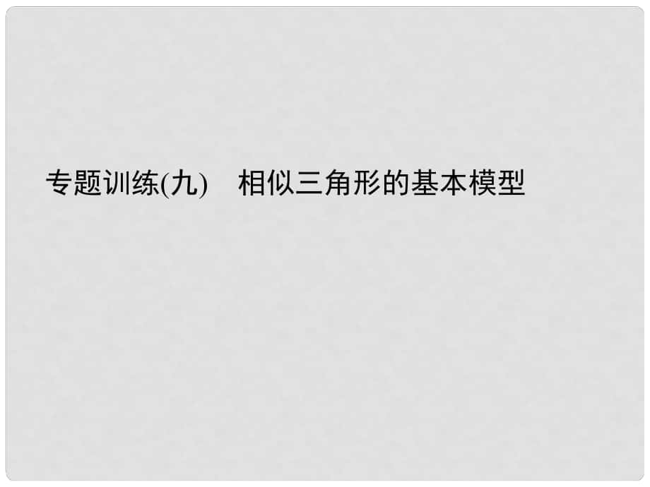 九年级数学上册 专题训练9 相似三角形的基本原理课件 （新版）新人教版_第1页