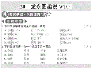 廣西桂林市九年級(jí)語文下冊(cè) 第五單元 20 龍永圖趣說WTO習(xí)題課件 語文版