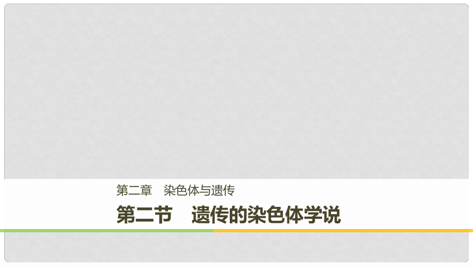 高中生物 第二章 染色體與遺傳 第二節(jié) 遺傳的染色體學(xué)說課件 浙科版必修2_第1頁